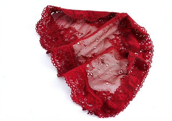 LEVAO Womens Cheeky Panties 6 Pack Lace Underwear Assorted-4