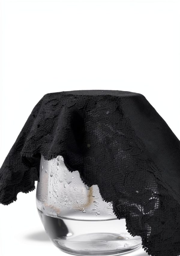 Womens Cotton Lace Panties No Show Underwear Comfort Fit-5